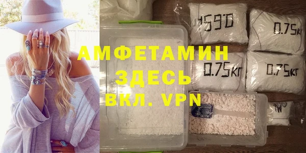 PSILOCYBIN Белокуриха
