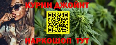 a pvp Гатчина