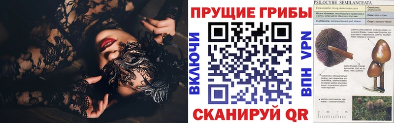 Галлюциногенные грибы Magic Shrooms  кракен tor  Ивантеевка 