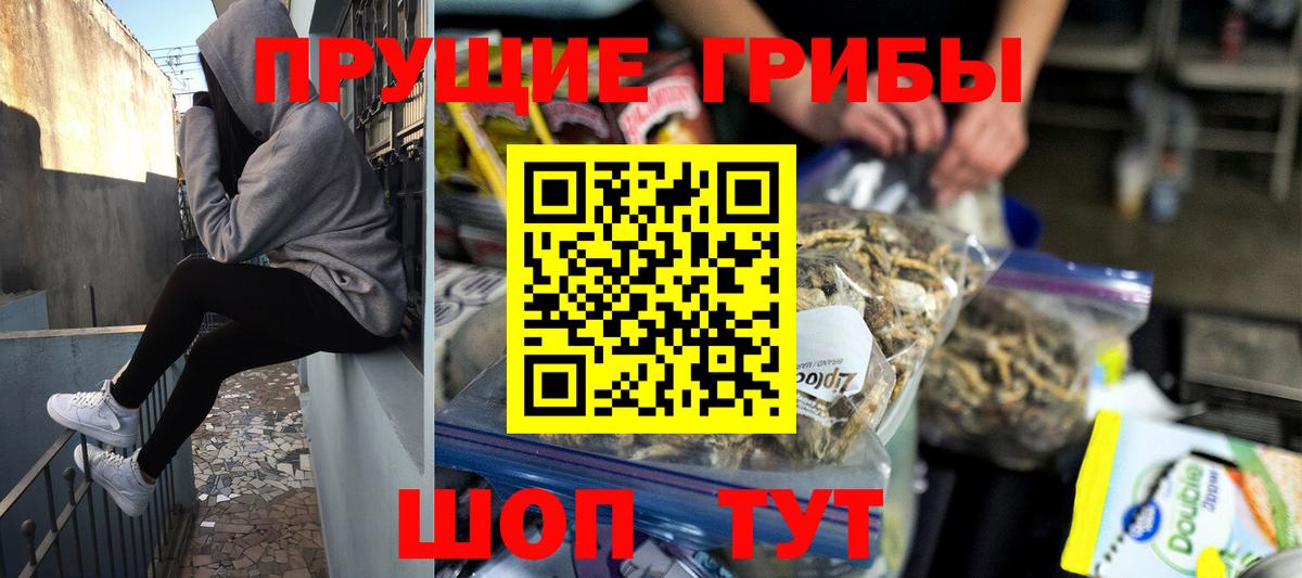 Псилоцибиновые грибы Psilocybine cubensis  Вход с VPN  Ивантеевка 