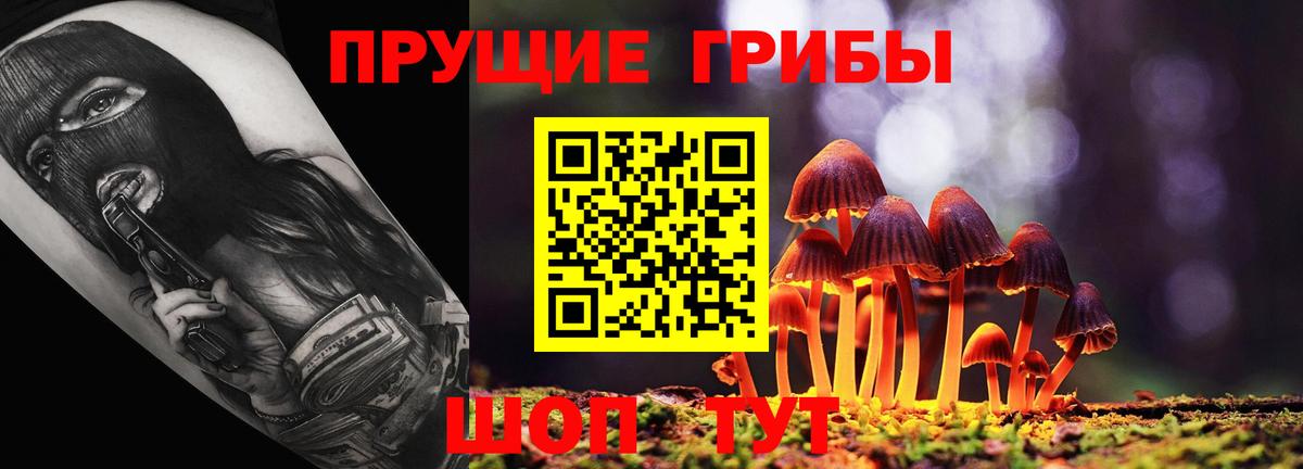 Псилоцибиновые грибы GOLDEN TEACHER Ивантеевка